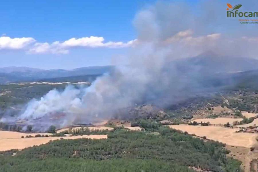 Los pueblos de Guadalajara afectados por el incendio cuentan con miles de cabezas de ganado y colmenas