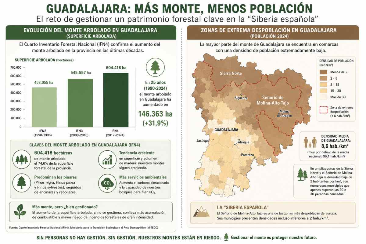 Infografía Monte Despoblación Guadalajara