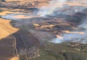 Incendio cerca de Malaguilla (Guadalajara)