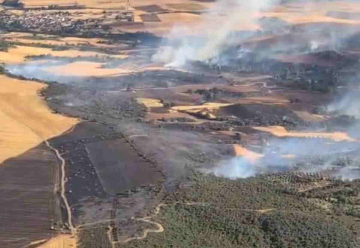 Incendio cerca de Malaguilla (Guadalajara)