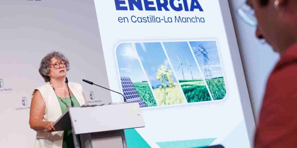 La consejera de Desarrollo Sostenible, Mercedes Gómez.