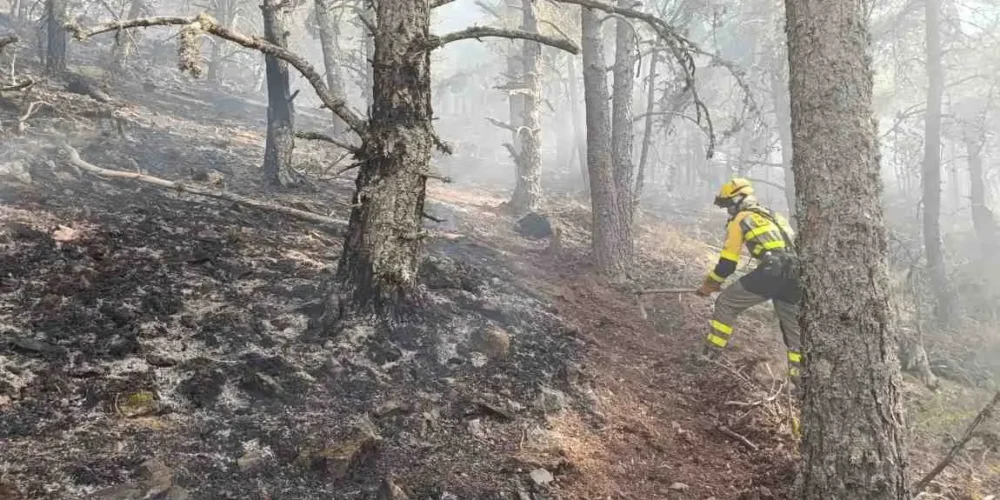 Bombero forestal trabajando en el incendio de La Mierla. Foto: Miteco.