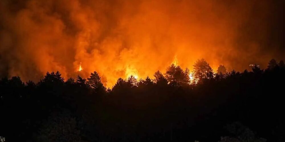 Incendio de La Mierla. Foto: Delegación del Gobierno.