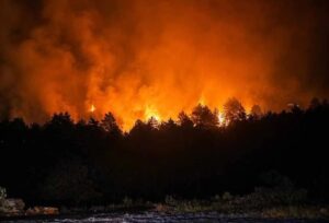 Incendio de La Mierla. Foto: Delegación del Gobierno.