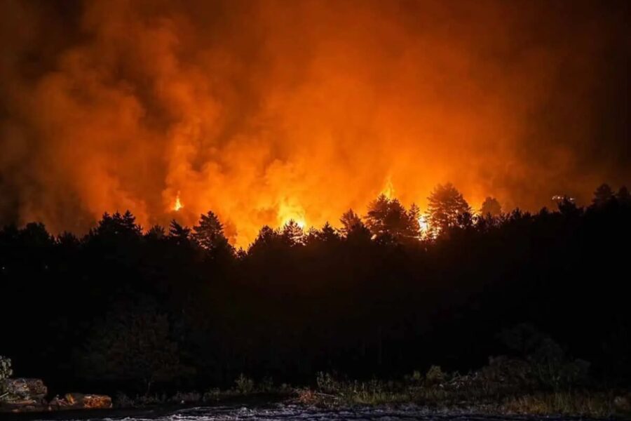 Avisan del peligro tras el peor año de incendios: las cenizas contaminan suelos y ríos si no se retiran antes de las lluvias