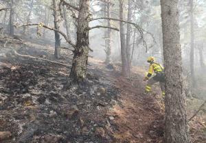 Bombero forestal trabajando en el incendio de La Mierla. Foto: Miteco.
