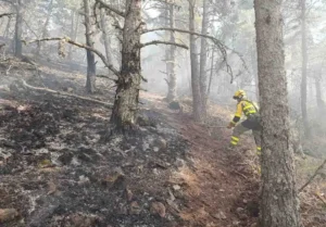 Bombero forestal trabajando en el incendio de La Mierla. Foto: Miteco.