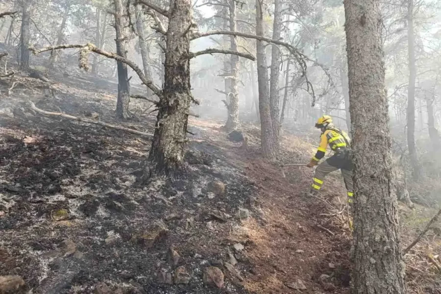 Todos los evacuados por el incendio de La Mierla pueden volver a sus casas