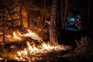 Detalle del incendio de La Mierla.