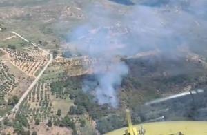 Incendio en Los Molinicos.