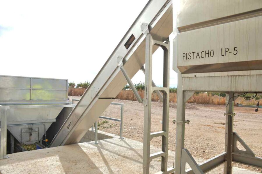 Un centro tecnológico de Castilla-La Mancha diseñará un secadero inteligente de pistacho