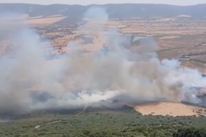 Incendio en Retuerta del Bullaque.