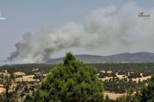 Incendio de Selas.