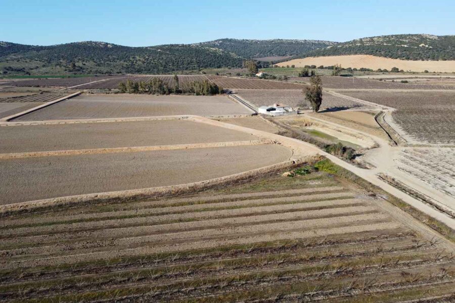 Agroseguro comienza el pago de indemnizaciones a productores de cultivos herbáceos