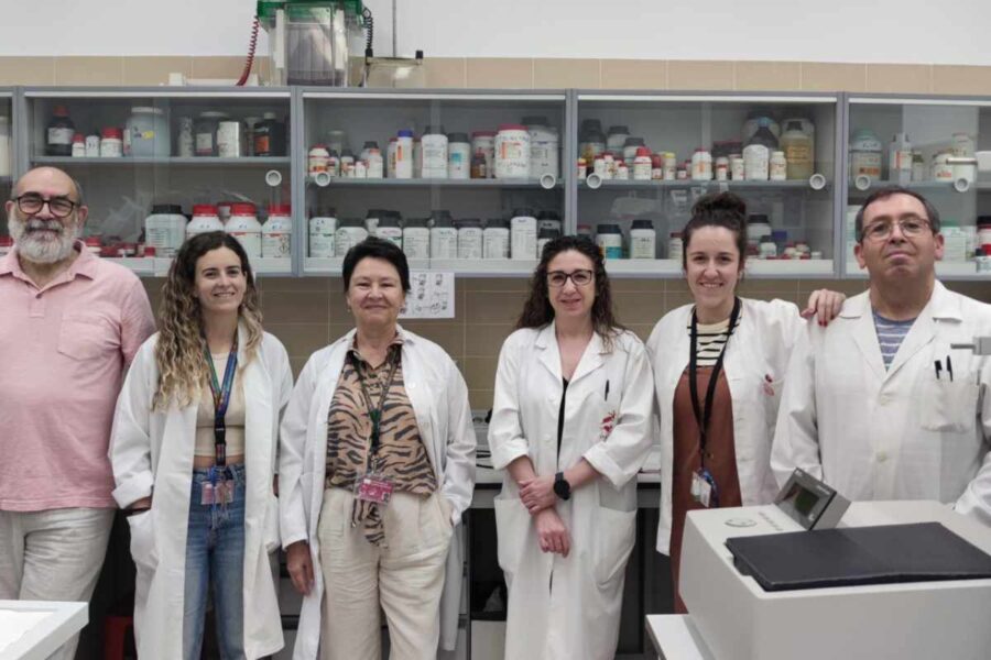 Una investigación liderada por la UCLM identifica la disminución de una hormona como desencadenante de la diabetes tipo 2