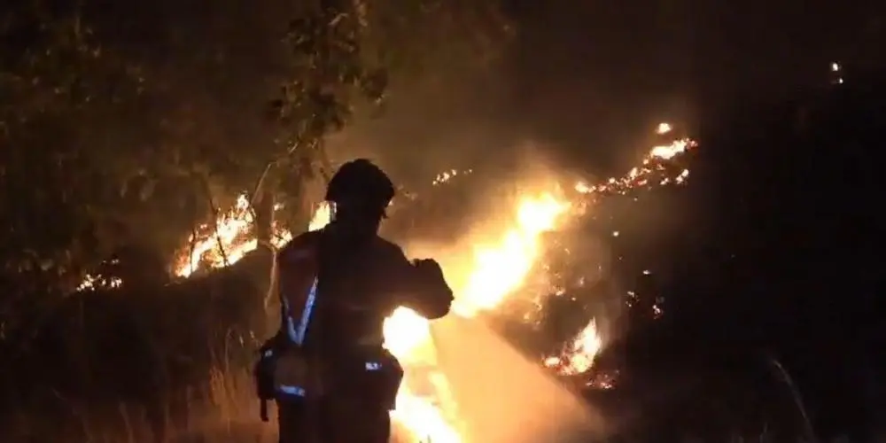 La UME en el incendio de La Mierla (Guadalajara)