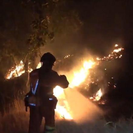 La UME en el incendio de La Mierla (Guadalajara)