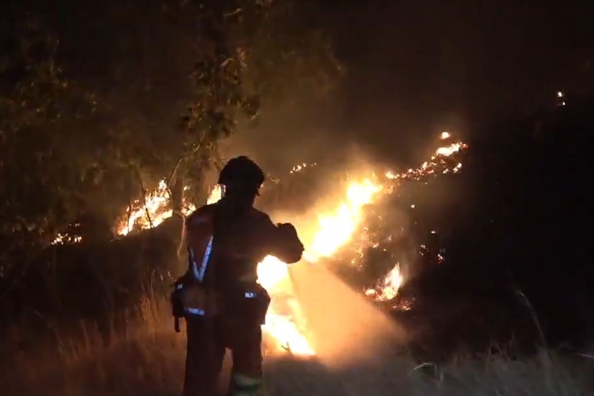 La UME en el incendio de La Mierla (Guadalajara)
