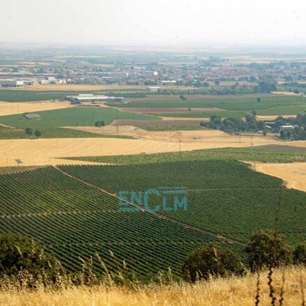 Fotos | Los secretos de los carpetanos y la ciudad amurallada que esconde el Cerro del Gollino, en el corazón de La Mancha — imagen 29