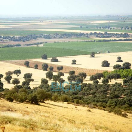 Fotos | Los secretos de los carpetanos y la ciudad amurallada que esconde el Cerro del Gollino, en el corazón de La Mancha — imagen 34