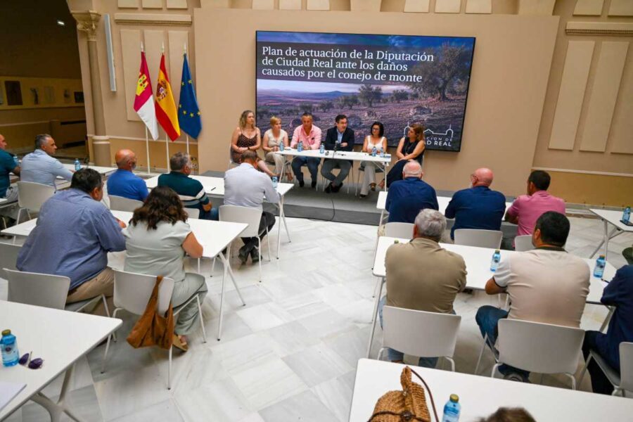 La Diputación de Ciudad Real busca soluciones a los daños por conejos a los cultivos
