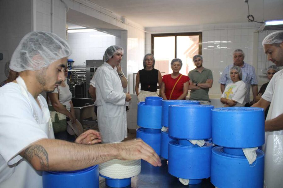 Impulsan dos proyectos innovadores para mejorar la sostenibilidad y productividad del ovino manchego