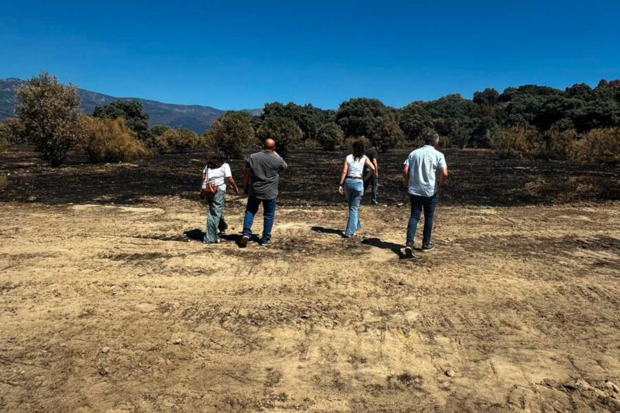 Piden a agricultores y ganaderos que presenten los daños por el incendio de Toledo