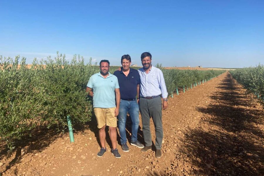 Agricultores manchegos ponen en marcha cien hectáreas de cultivos a través de pequeños inversores