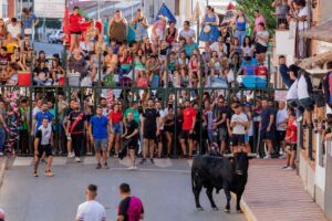 Imagen de los encierros de Fernán Caballero