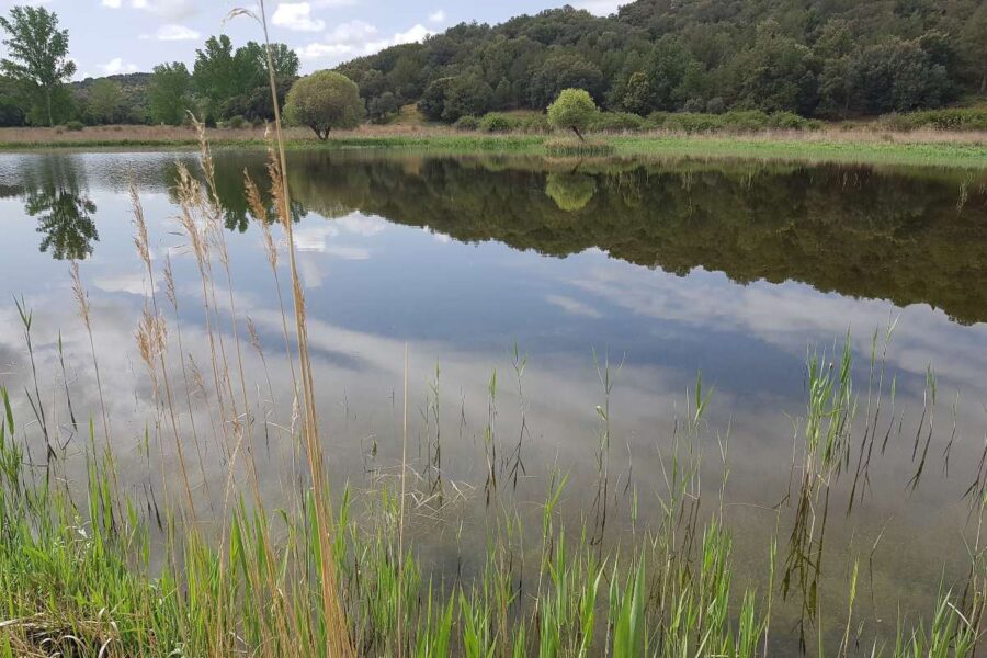 Una restauración ambiental de 490.000 euros devuelve el agua al Valle de las Hazadillas en Ruidera