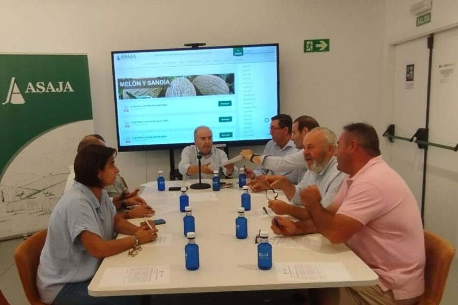El precio en origen de sandía baja y el del melón repite en Castilla-La Mancha