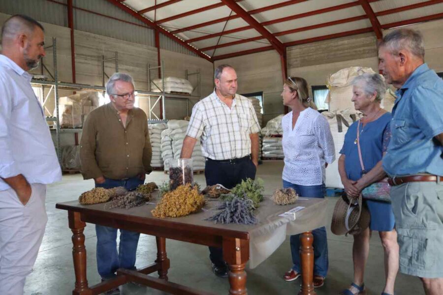 La agricultura ecológica reclama una financiación específica dentro de la Política Agraria Común