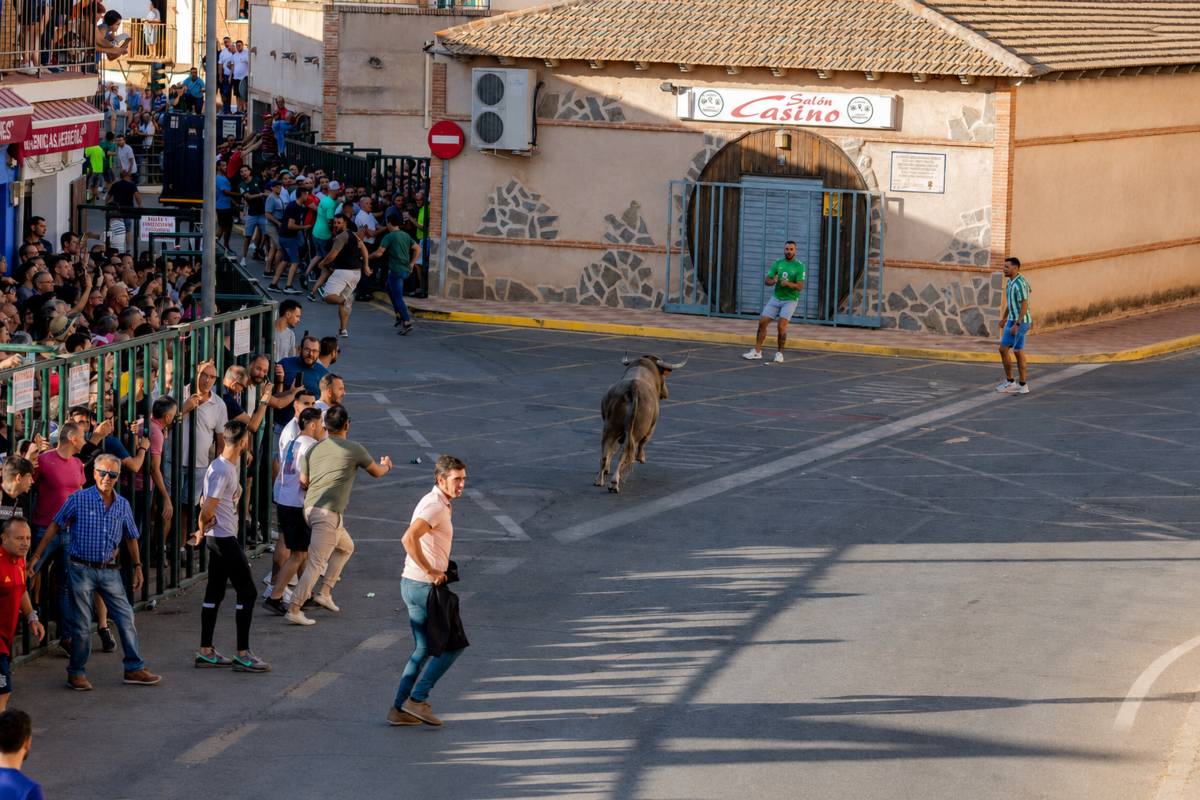 Otra vista del encierro de Fernán Caballero