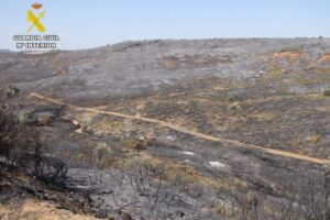 Terrenos quemados por el incendio en Cabezarrubias del Puerto
