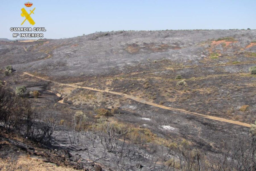 Investigados dos trabajadores por provocar con una radial y un soldador el incendio de Cabezarrubias que arrasó 29 hectáreas