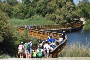 Turistas visitando las Tabla de Daimiel este verano