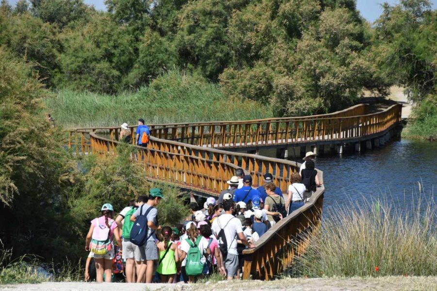 Agua, aves y turistas: las Tablas de Daimiel viven uno de sus mejores momentos en décadas