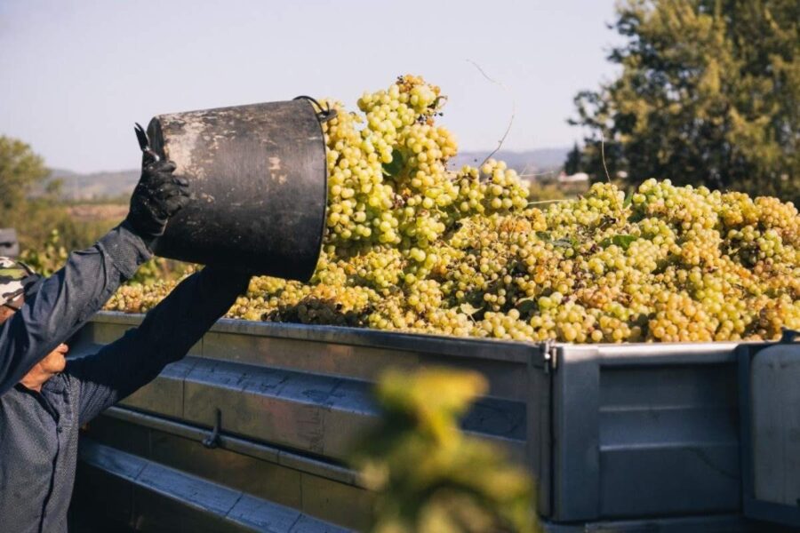Los 6.000 trabajadores del vino de Ciudad Real tendrán subidas salariales de hasta el 4,5% y un día más de descanso