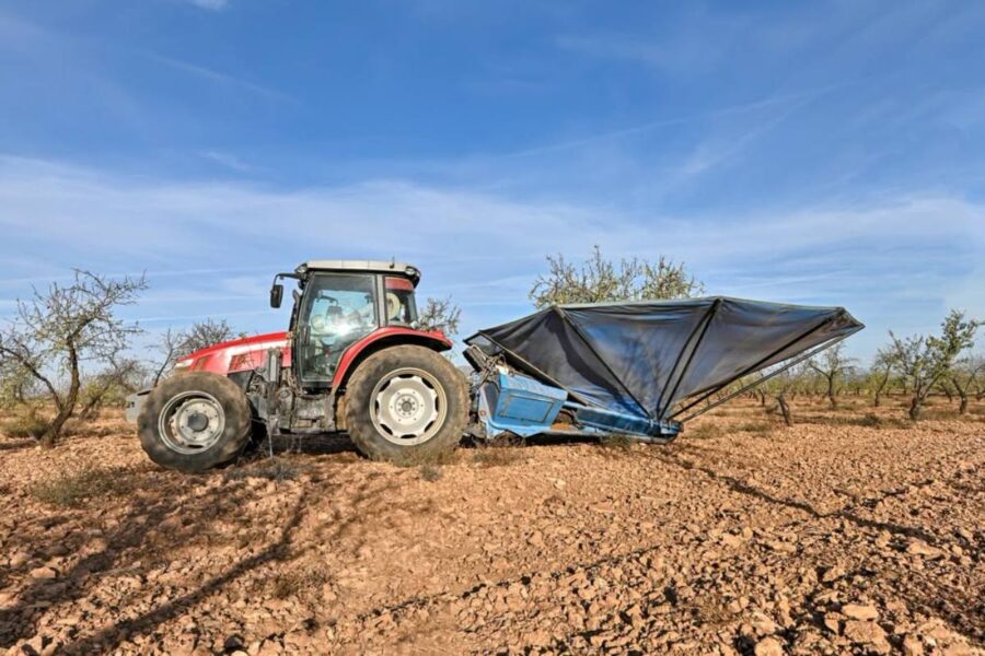 Se generaliza la campaña de recolección de la almendra en Castilla-La Mancha