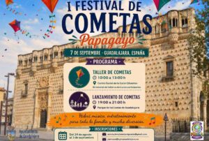 Cartel Festival Cometas
