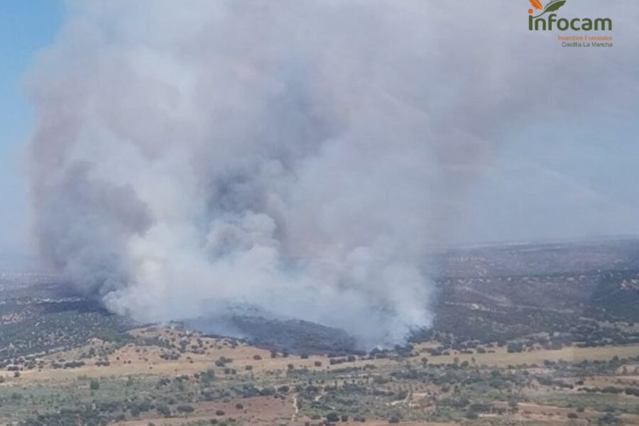 Efectivos del Infocam ayudan en la extinción de un incendio en Aldea del Fresno (Madrid), muy cerca de Méntrida (Toledo)