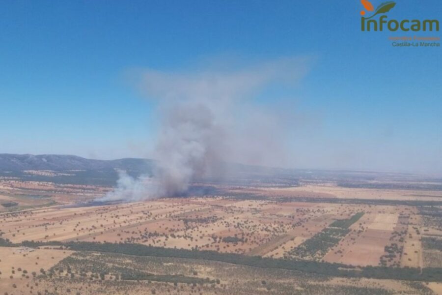 Extinguido el incendio forestal en Retuerta del Bullaque (Ciudad Real) cuyo humo afectó a una carretera