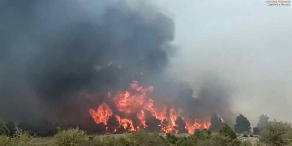 Incendio forestal en El Recuenco.