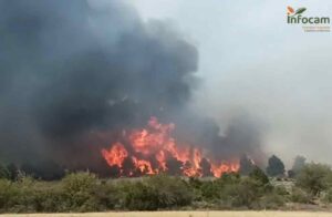 Incendio forestal en El Recuenco.