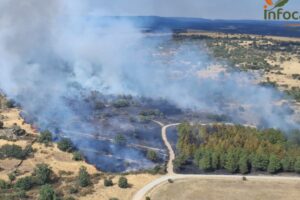 Incendio en Riofrío del Llano (Guadalajara). Foto: Infocam