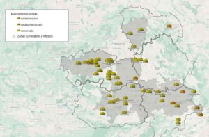 Las plantas que podrían ser declaradas como prioritarias en Castilla-La Mancha.