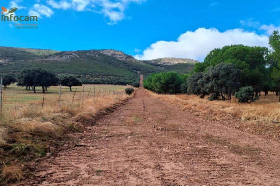 Eclipse solar en Castilla-La Mancha: restricciones en pistas y caminos forestales desde esta madrugada en Cuenca y Guadalajara