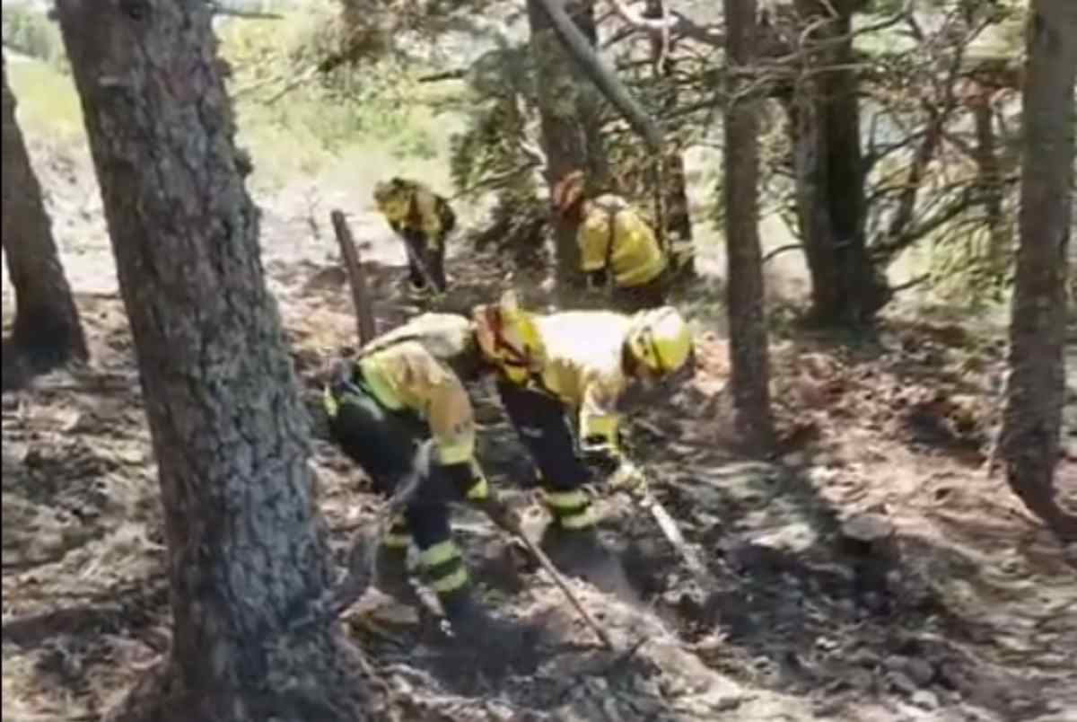 Bomberos del Plan Infocam trabajando en la zona del incendio de La Mierla.