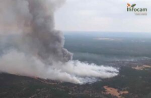 Incendio en El Recuenco (Guadalajara)