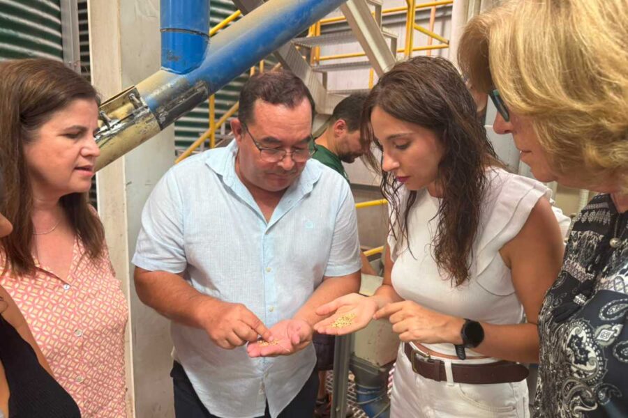 Castilla-La Mancha, referente nacional en producción de semillas certificadas